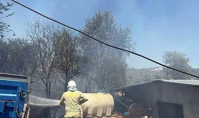 Havran Fazlıca'da korkutan yangın