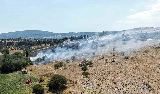 Menteşe'deki makilik yangını kontrol altına alındı