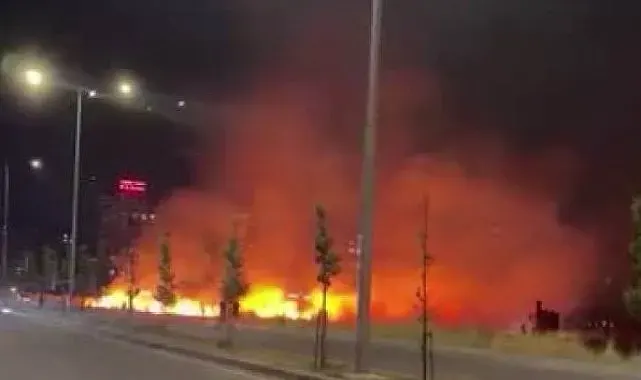Diyarbakır'da geceyi gündüze çeviren yangın