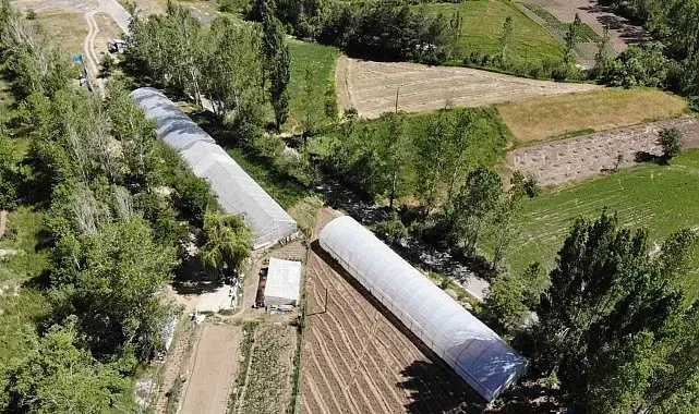 Bayburt'ta yüzde 70 hibeli sera projesi için başvurular yarın başlıyor