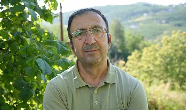 Fındık toplama hızını 3-4 kat artırıyor: Profesörden "file örtü" önerisi