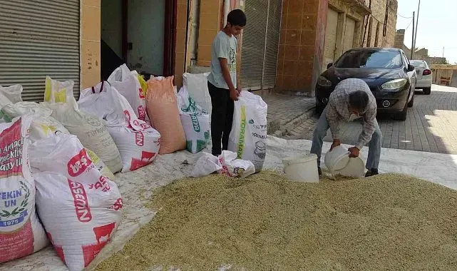 Gercüş'te bereketli hasat: Çiftçinin yüzü güldü