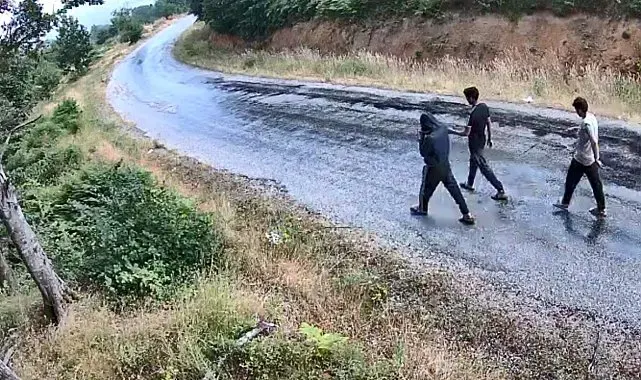 Jandarmanın fotokapanlarıyla 1 yılda bin 847 şüpheli yakalandı