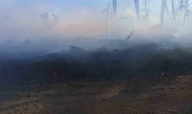 Araç yangını ormanlık alana sıçradı, ekipler alevleri büyümeden söndürdü