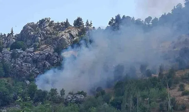 Alanya'da zirai alanda çıkan yangın söndürüldü