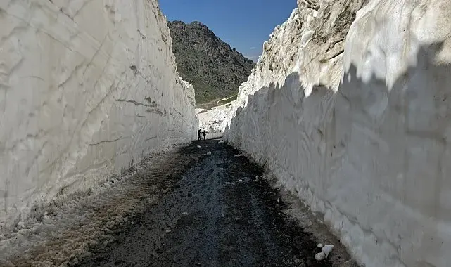 Yüksekova'da 8 metrelik kar tünelleri: İş makinesi içinde kayboldu