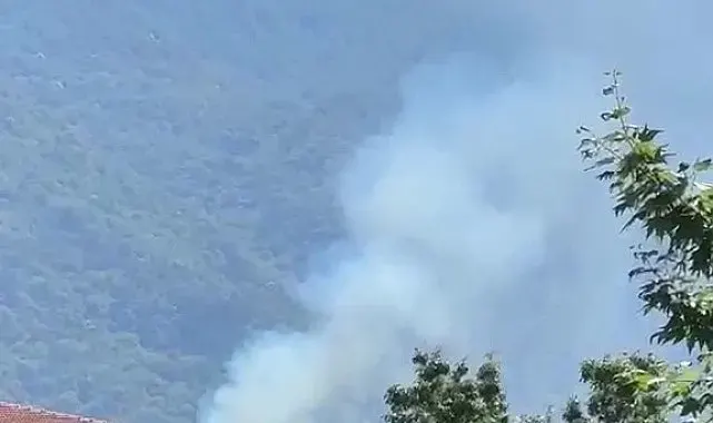 Kestel'de orman yangını