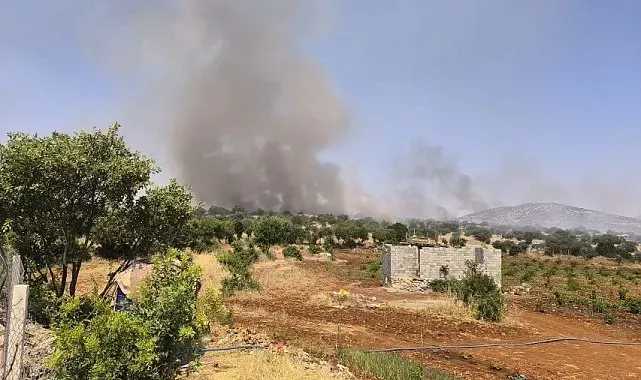 Diyarbakır'da örtü yangını