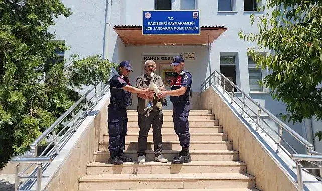 Yaralı leylek tedavi altına alındı
