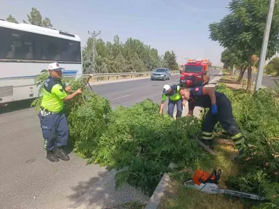 Batman-Silvan Karayolunda Şiddetli Rüzgar Nedeniyle Ağaç Devrildi