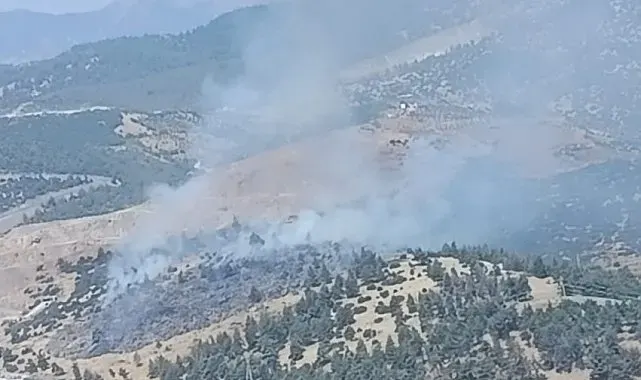 Kahramanmaraş'ta orman yangını
