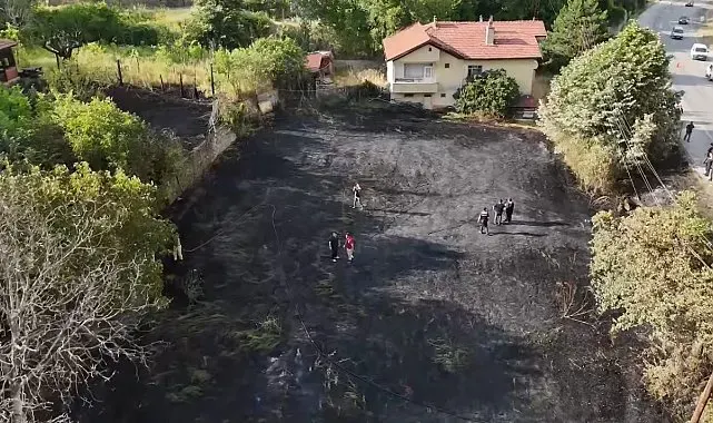 Jandarma, alevlerin arasındaki kaplumbağa ve yavrularını kurtardı
