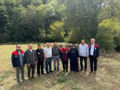 Düzce'de Kırsalda Bereket, Küçükbaşa Destek Projesi ile Üreticiye 100 Hayvan Teslim Edildi