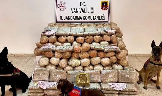Van'da 333 kilo skunk ele geçirildi