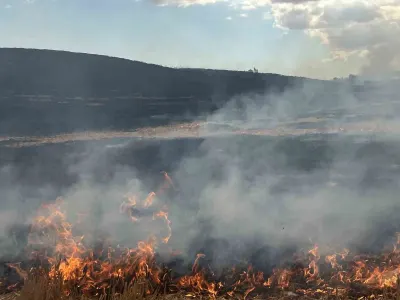 Tekirdağ Muratlı'da Korkutan Anız Yangını: Ekipler Müdahale Ediyor