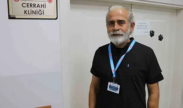 Kangal, çoban gelene kadar kırsalda doğan kuzuya kendi yavrusu gibi sahip çıktı