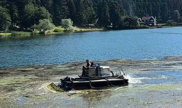 Bolu'nun doğa harikası Gölcük Tabiat Parkı'nın göl yüzeyi temizleniyor