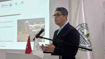 Ankara Keçisinin Geleceği Kızılcahamam'daki Çalıştayda Masaya Yatırıldı