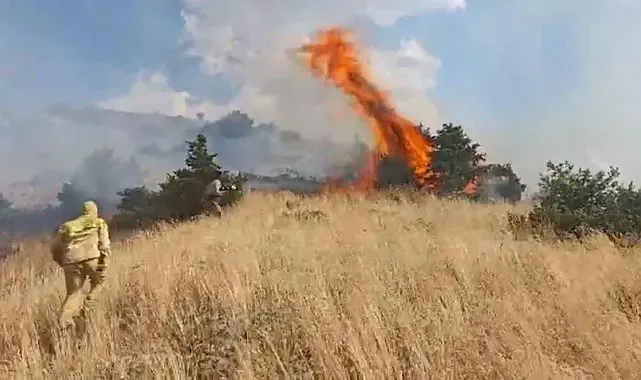 Bingöl'de orman yangını