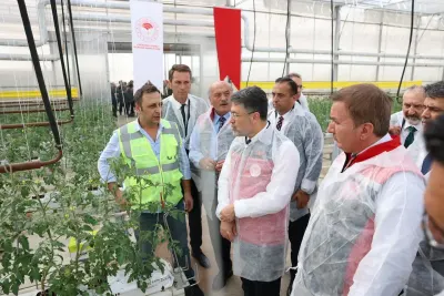 Bakan Yumaklı Erzincan’daki Jeotermal Sera Alanında İncelemelerde Bulundu