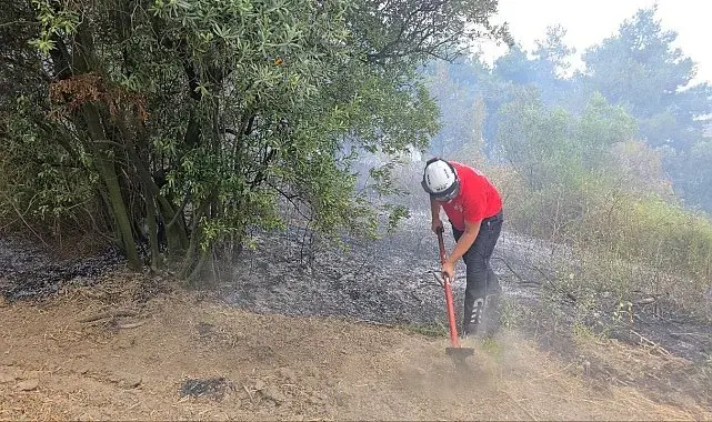 Mudanya'da rüzgarın etkisiyle büyüyen yangın kontrol altına alındı
