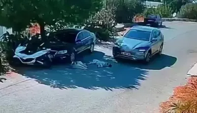 Muğla Bodrum'da Vahşet: Otomobiliyle Yolda Yatan İki Köpeğin Üzerinden Geçti