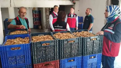 Aydın’da Kuru İncir Sezonunda Sıkı Denetim ve Gıda Güvenliği Önlemleri