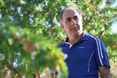 Tekstil Mühendisi Çorak Arpa Tarlasını Fransız Badem Bahçesine Çevirdi