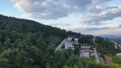 Bursa Çalı Mahallesi'nde Ayı Korkusu: 3 Ayı Yerleşim Alanında Görüldü