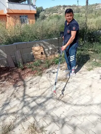 Hatay Samandağ’da Yerleşim Yerinde Görülen Yılan Doğaya Salındı