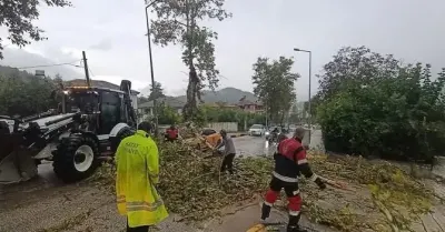 Hatay Yayladağı'nda Şiddetli Fırtına: Park Halindeki Otomobilin Üzerine Ağaç Devrildi