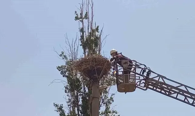 İpe dolanan leyleğin yardımına itfaiye yetişti