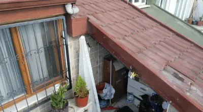 Sultangazi'de çatı katını arılar bastı: Sokulan kadın hastanelik oldu