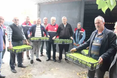 İnebolu’da Çiftçilere Devlet Destekli Sebze Fidesi Dağıtıldı