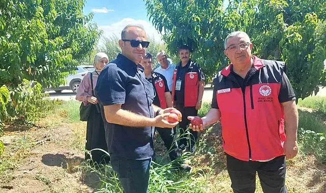 Çanakkale'de bitkisel üretim projeleri değerlendirildi