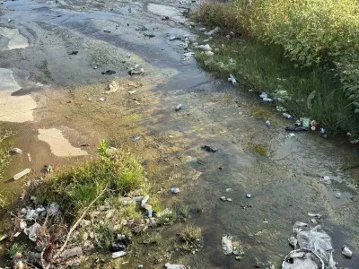 Aydın Efeler'deki Tabakhane Deresi Çöplüğe Döndü: Çevre Kirliliği Tepki Çekiyor