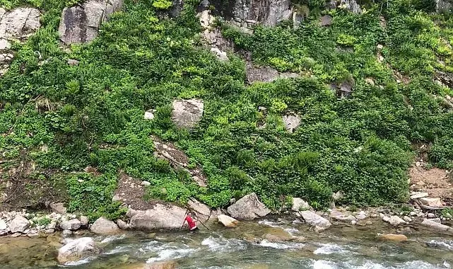 Papağanını kurtardı, kendisi mahsur kaldı