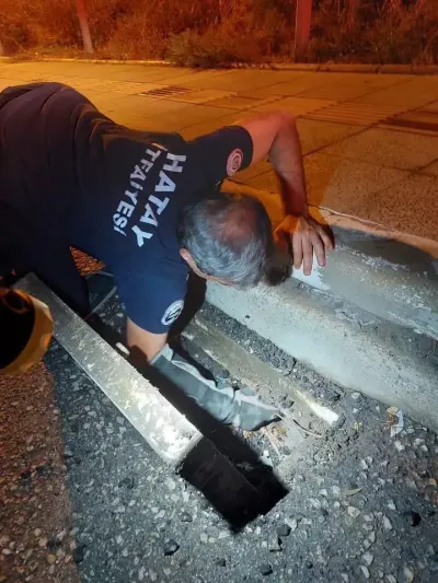 İskenderun'da Mahsur Kalan Hayvanlar İtfaiye Ekipleri Tarafından Kurtarıldı
