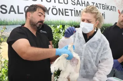 Elazığ'da Kuş Gribine Karşı Gerçek Boyutlu Saha Tatbikatı ve Eğitim Gerçekleştirildi
