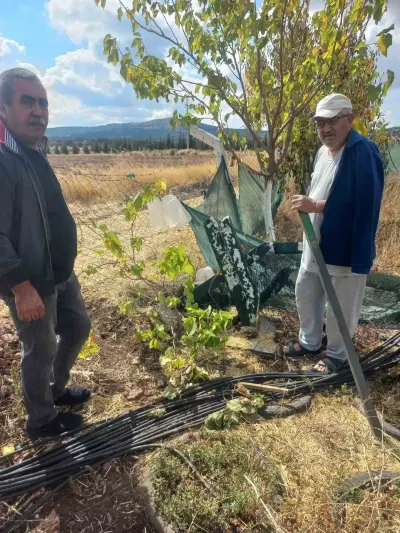 Eskişehir'de Bahçe Tellerine Zarar Veren Kimliği Belirsiz Kişiler Aranıyor