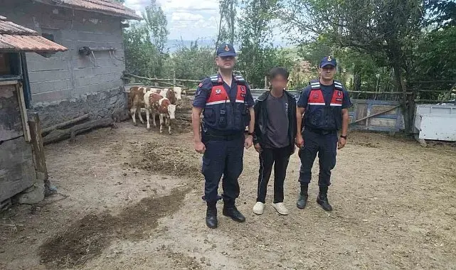 Hayvanlarını kaybeden çiftçinin yardımına Jandarma ekipleri koştu