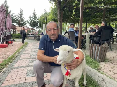 Samsun Kavak'ta Sevimli Kuzu Tertip İlçe Halkının Gönlünü Fethetti