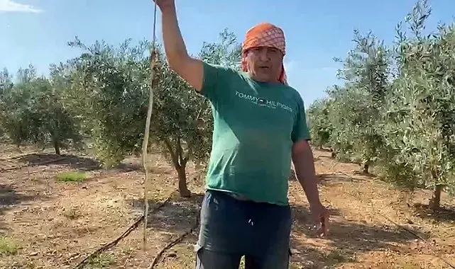 'Yılanı öldürdüm' deyip çektirdiği video pahalıya mal oldu: 22 bin TL ceza yedi