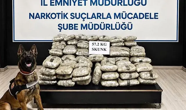 Hakkari'de 57 kilo 200 gram skunk ele geçirildi