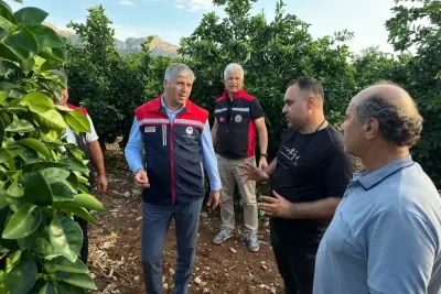 Adana'da Dolu Vuran Tarım Arazilerinde Hasar Tespit Çalışmaları Başladı