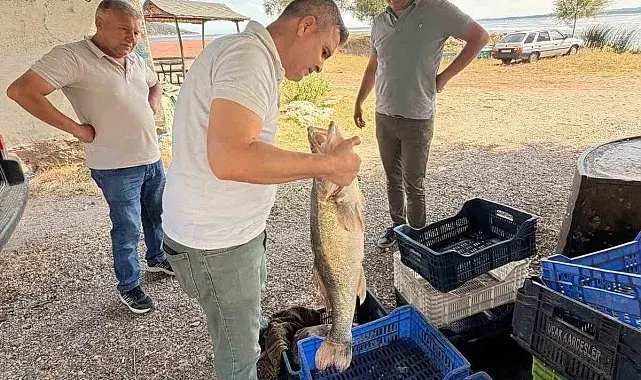 Beyşehir Gölü'nde avlanan balıklar tek tek kontrol edildi