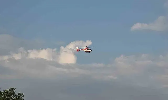 Hamile kadın ambulans helikopter ile Van'a getirildi