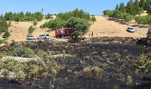 Diyarbakır'da yüksek gerilim hattına çarpan kuş yangına neden oldu