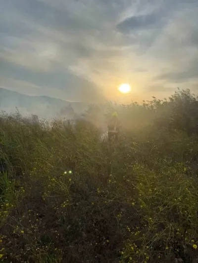 Sındırgı'da Otluk Alanda Çıkan Yangın Ekiplerin Müdahalesiyle Söndürüldü