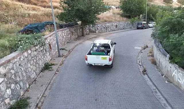 Efeler'de ilaçlama mesaisi hız kesmiyor